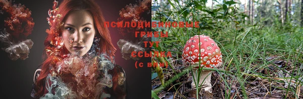 соль курить ск Алексин