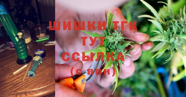 тгк Алзамай