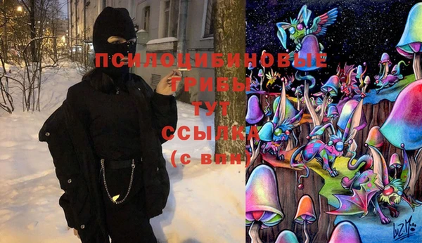 тгк Алзамай