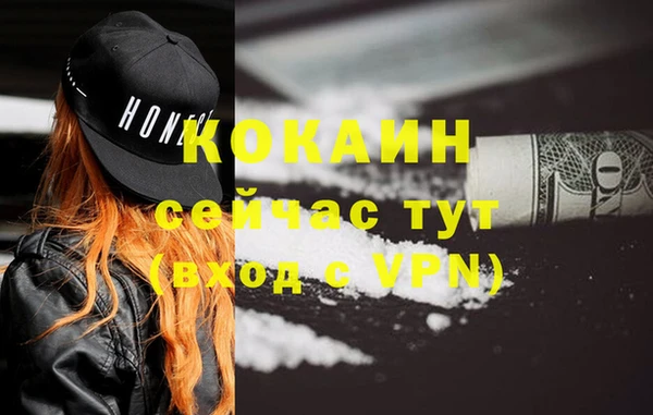 тгк Алзамай