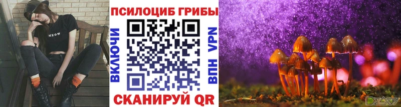 Псилоцибиновые грибы мицелий  Межгорье 